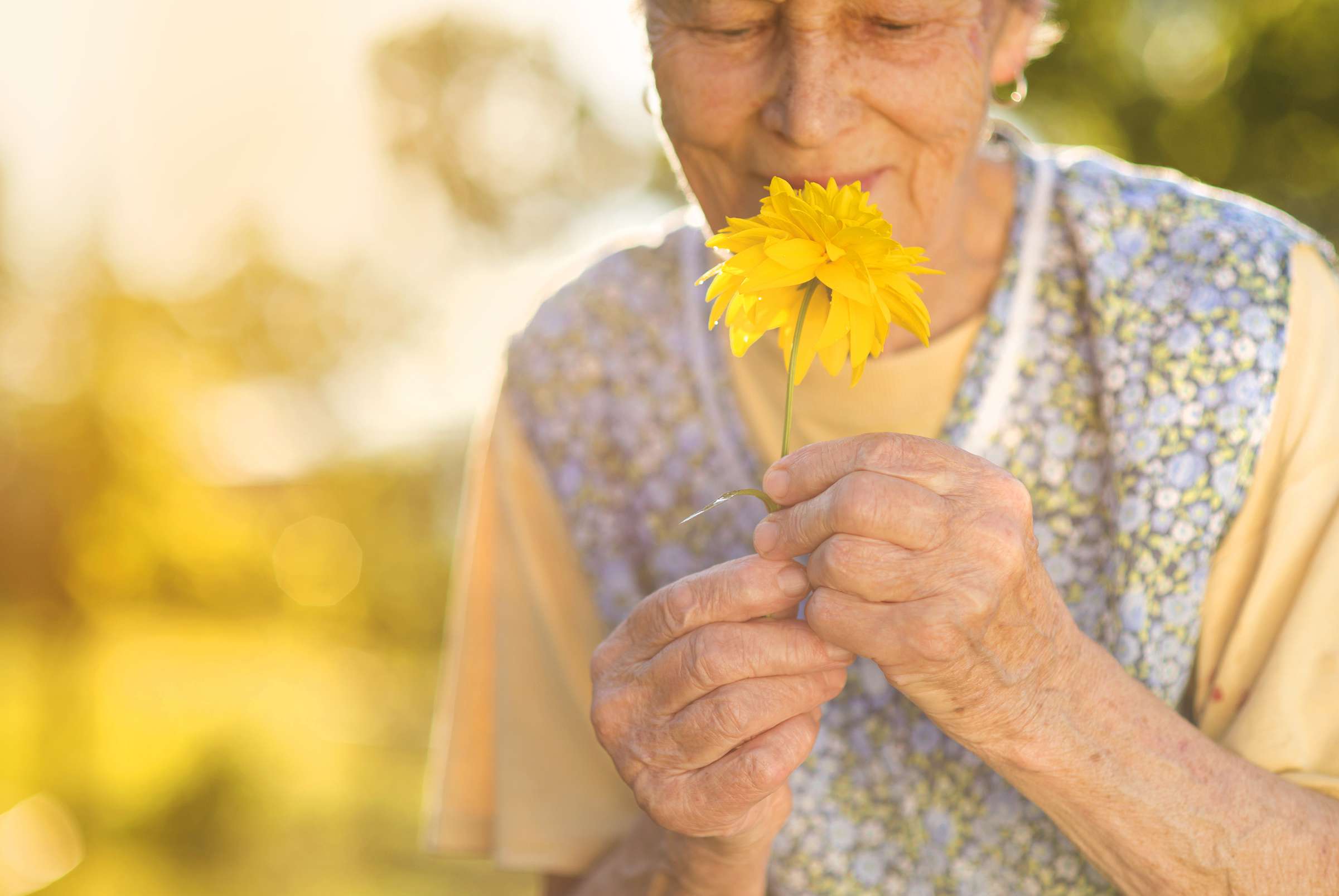 Home Julie Richardson Nursing Care TaylorMade Care for 15 years